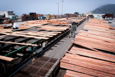 Men removing boards from a long conveyor belt