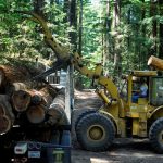 Caterpillar tractor loading logs on a logging truck.