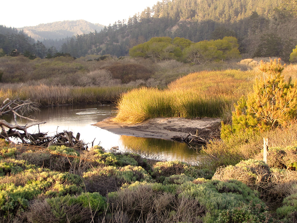 Waddel creek at sunset.