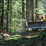 Large Caterpillar tractor making a road in a forest.