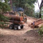 Logs and logging truck at landing.