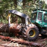 Large log being skidded to landing.