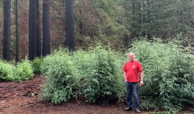 Man standing in front of trees