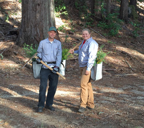 Man and woman with redwood seedlings getting ready to plant them