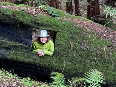 Woman in hard hat looking through tree