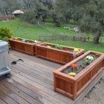 Free-standing redwood planter boxes.