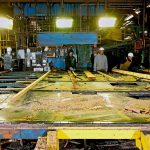 Lumber graders grading boards as they move across the grading table.