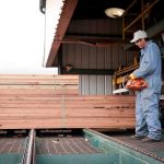 Employee straightens and bands units of lumber and trims off the protruding sticker ends.