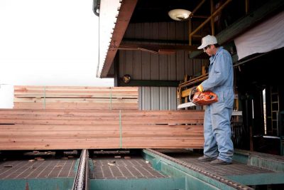 Employee straightens and bands units of lumber and trims off the protruding sticker ends.