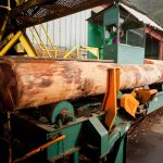 A large log entering the sawmill.