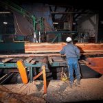 Employee guides a flitch away from the band saw on the head rig.