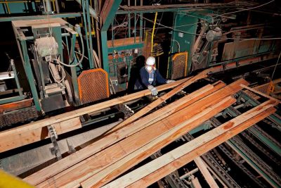 Employee guideing boards through the re-trimming saw.