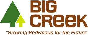 Brown, green and yellow logo for Big Creek Lumber